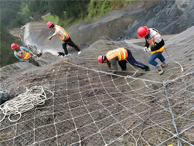 主动边坡防护网