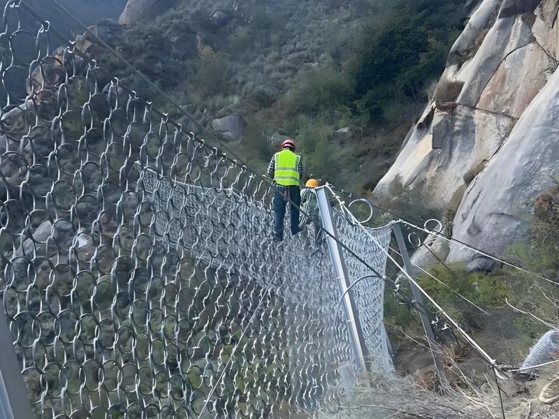 被动柔性防护网